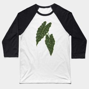 Alocasia Polly Green Leaves Baseball T-Shirt